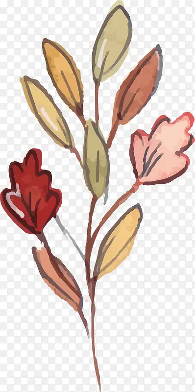 ����������֦-������