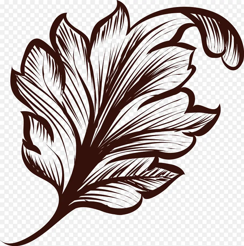 ֲ���ֻ���Ҷ����-������