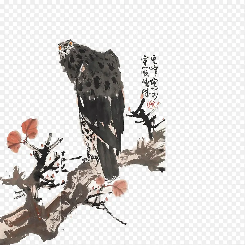 èͷӥ-������