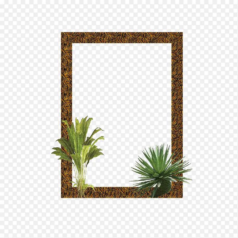 �����ο�-������