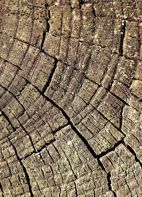 �Ͼ�ľ�Ʊ���-������