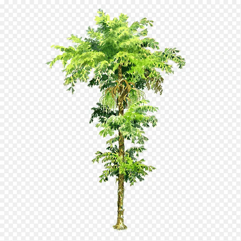 ʸ�������ľ����ز�-������