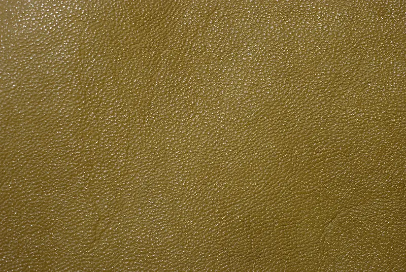 ��ɫƤ�ﱳ��-������