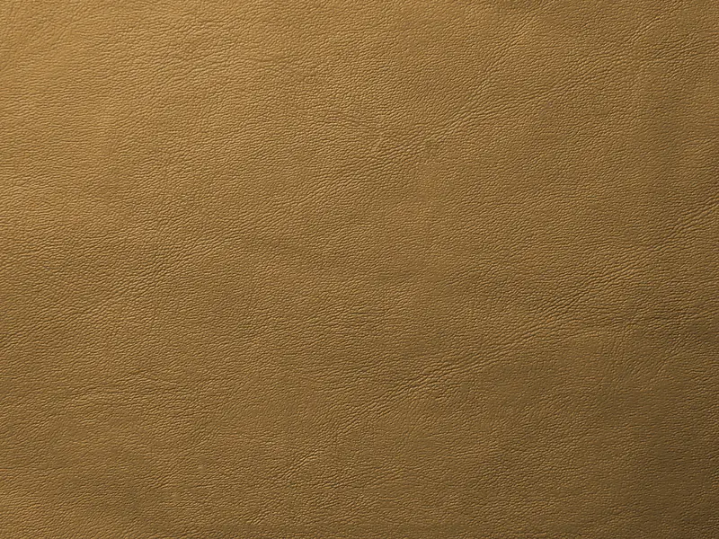 ��ɫƤ�ﱳ��-������