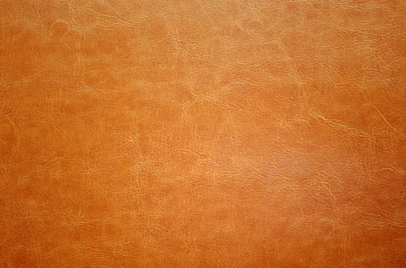 ��ɫƤ�ﱳ��-������