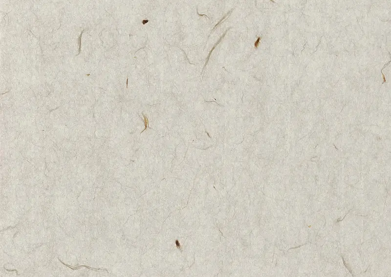 ����ǽ�����������Ӱ-������