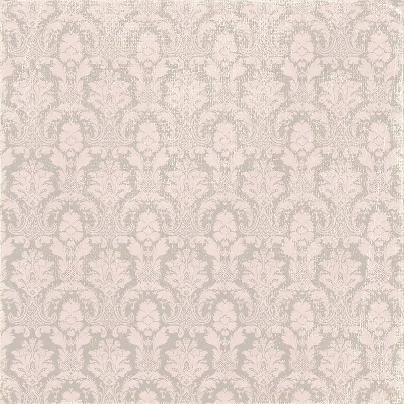 ���Ż��Ʊ���-������