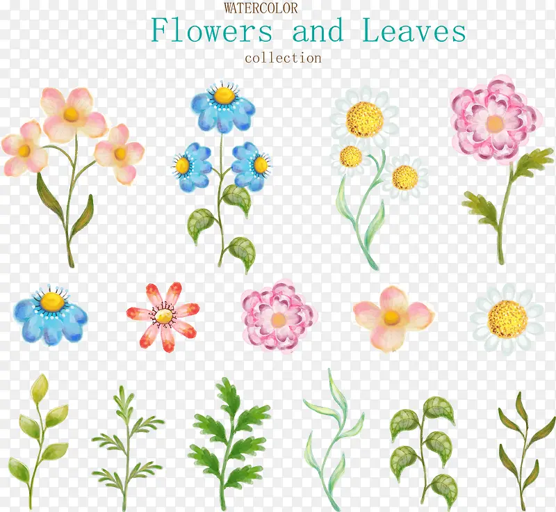 ˮ�ʻ滨�ܺ�Ҷ��ʸ���ز�-������