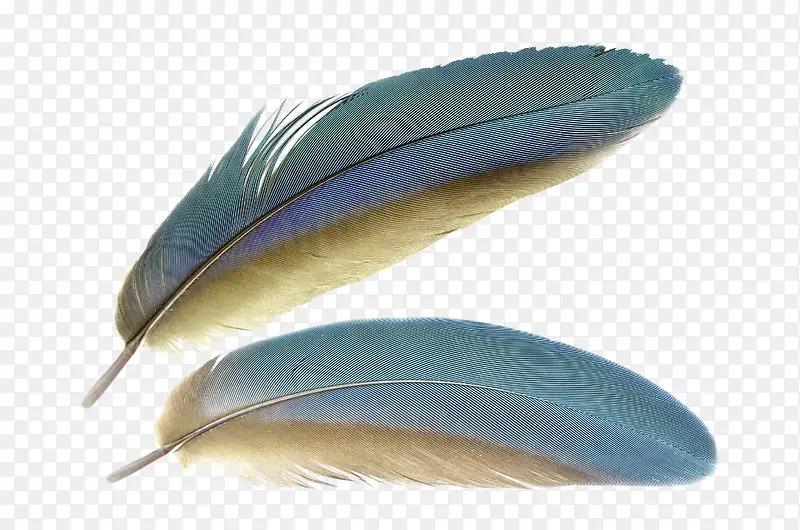 ������ɫ��ë-������