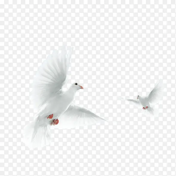 ����-������