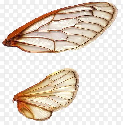 ��������-������