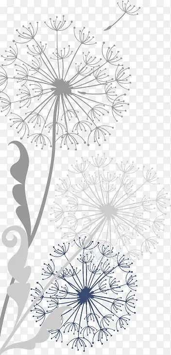 ��Լ����-������