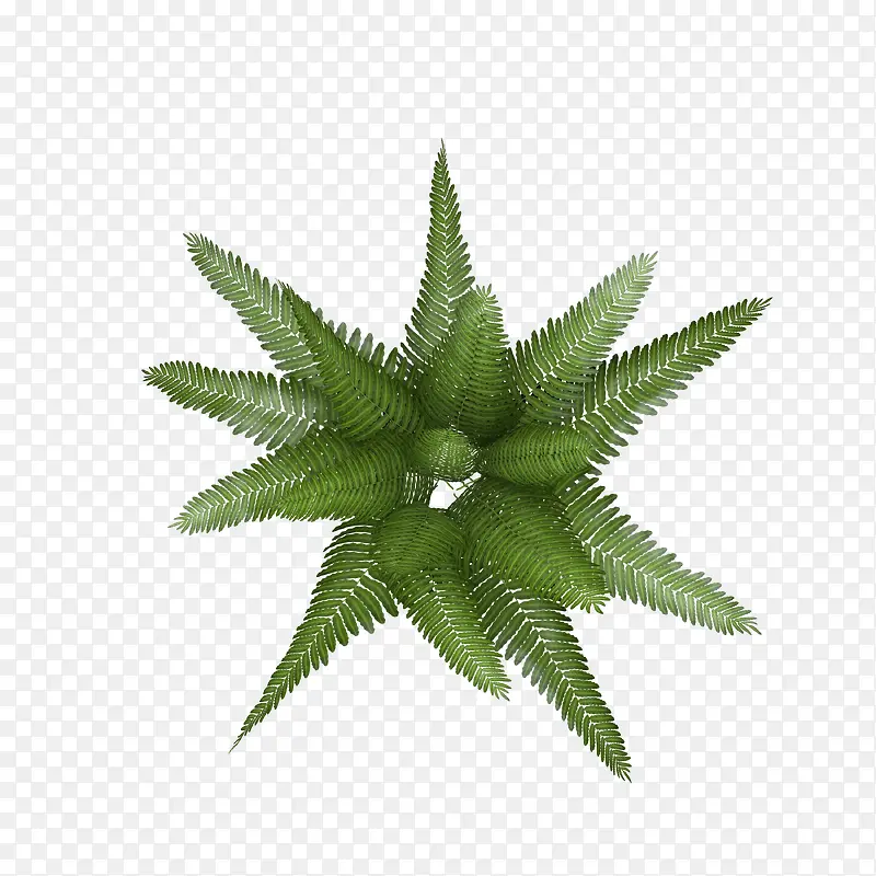 ��ɫ��Ҷ��-������