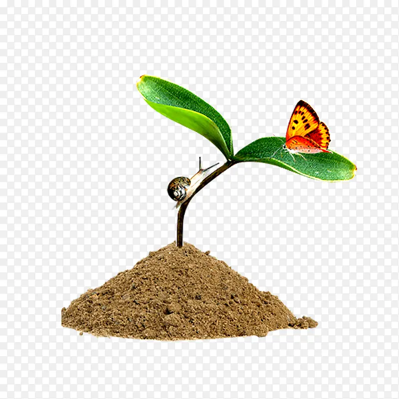 ��ѿ-������