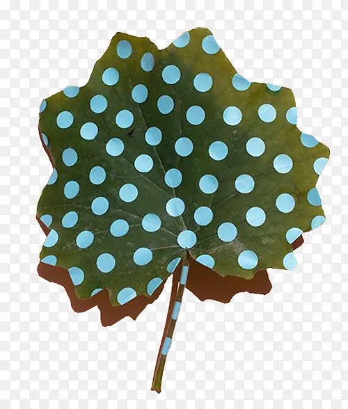 ������Ҷ-������