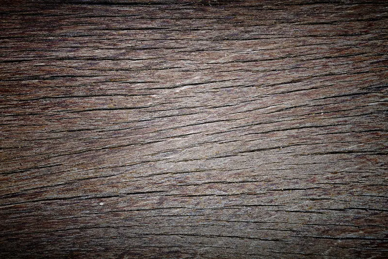 ��Ƥ��������-������