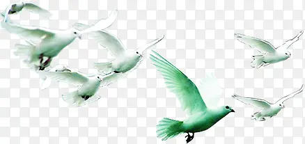 ��ɫ������Ⱥ�ֻ�-������