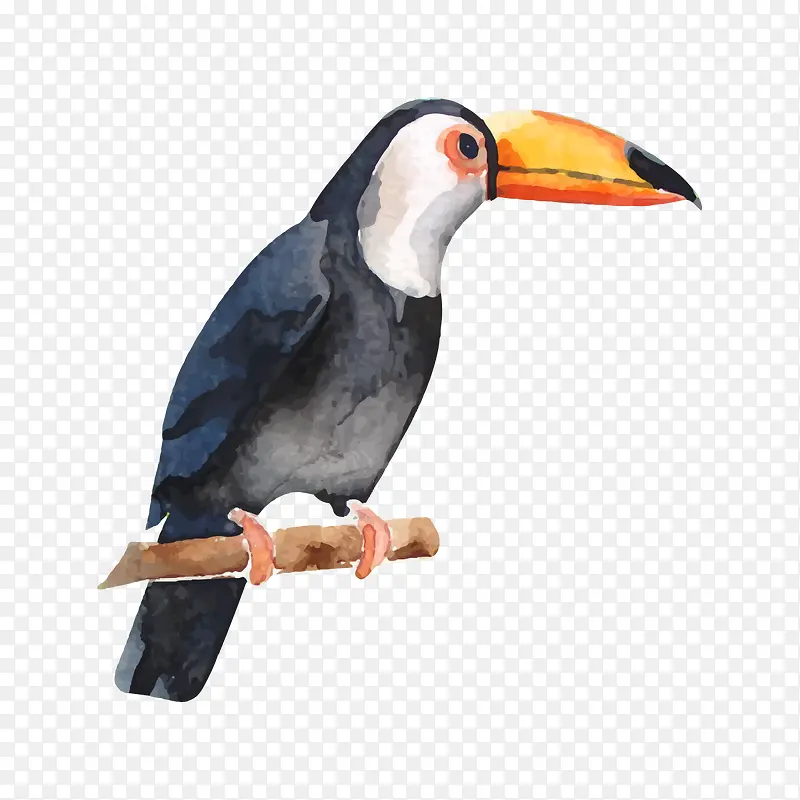 ��֦�ϵ���ľ��-������