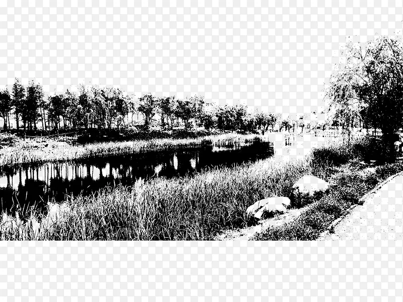 �ڰ���Ӱ-������