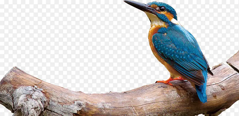 ������ӰҰ����Ϣ��С��-������