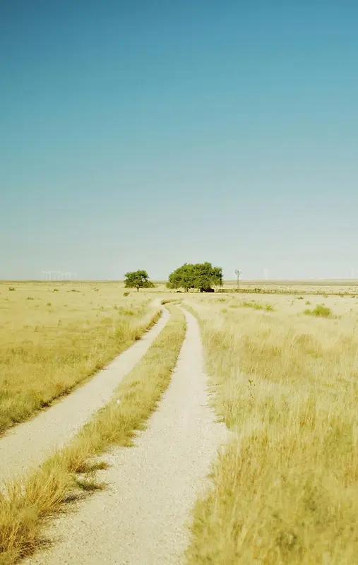 Ψ��Ұ���Ұ��Ӱͼ-������