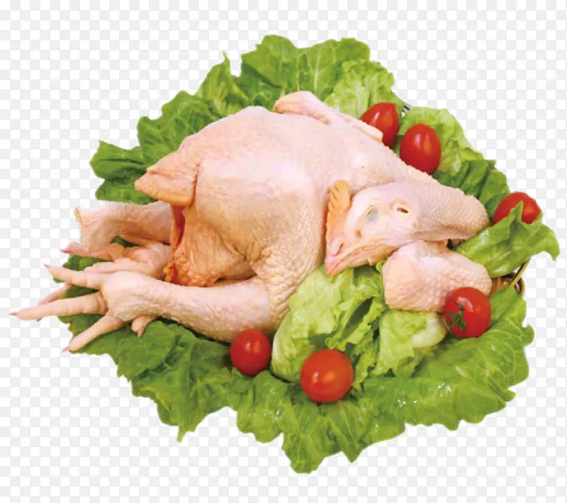 ��ʳ«����-������