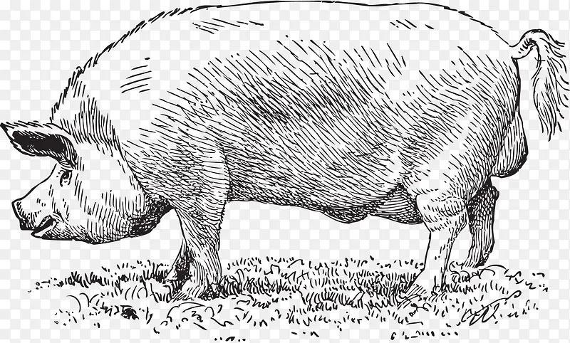 �ֻ���-������