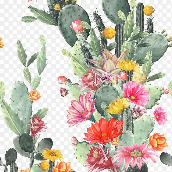 ֲ��-������