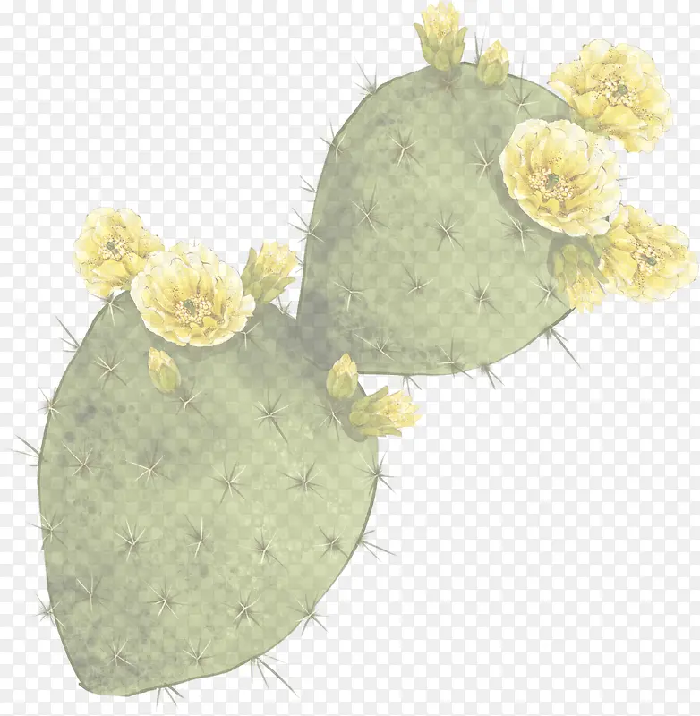 �ֻ濪�������ƺ���-������