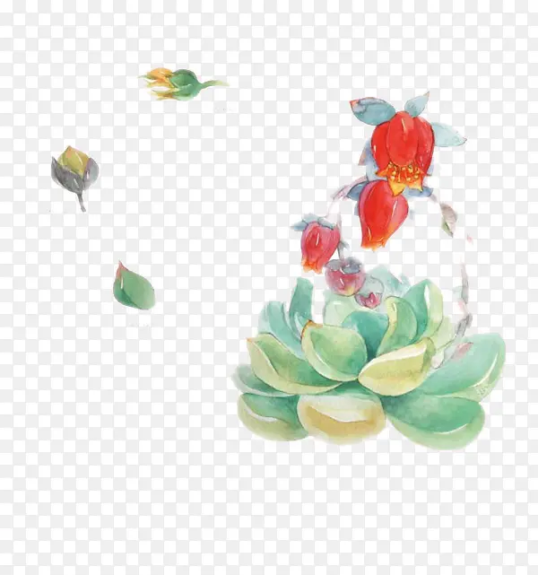 ���⿪��ͼƬ�ز�-������