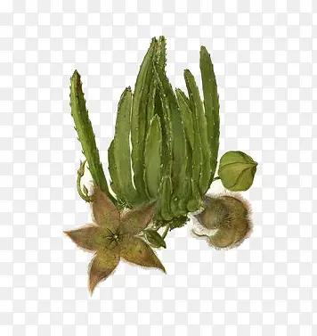 �ֻ濪����«��-������