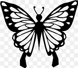 ����Ԫ��-������