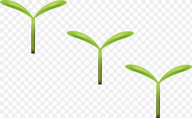 С����-������