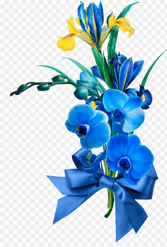 ������-����-������