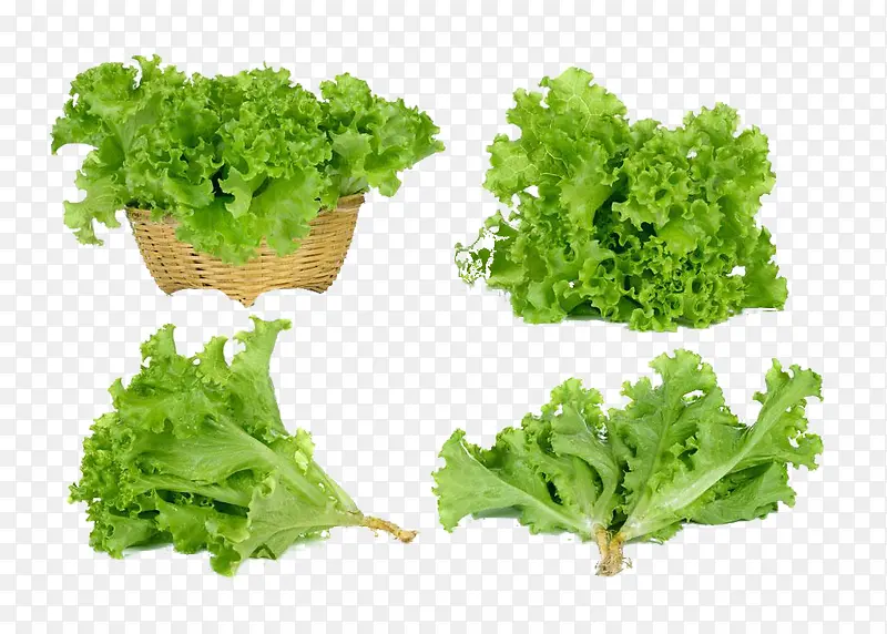 ���Ҷ���߲�-������