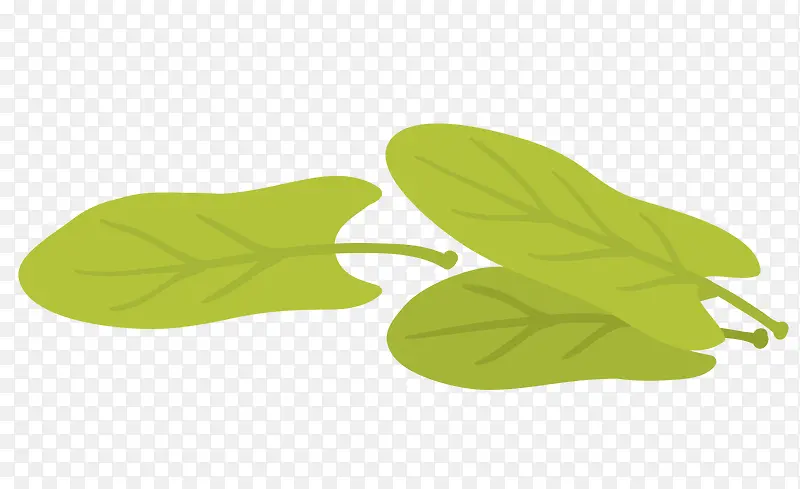 ��ɫ�Ĳ�Ҷ-������