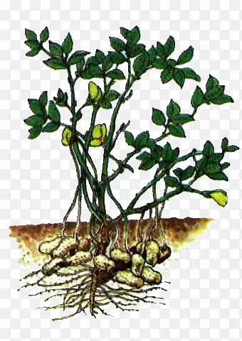 ����-������