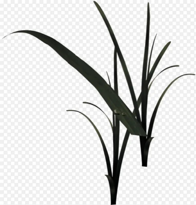 ������С�����-������