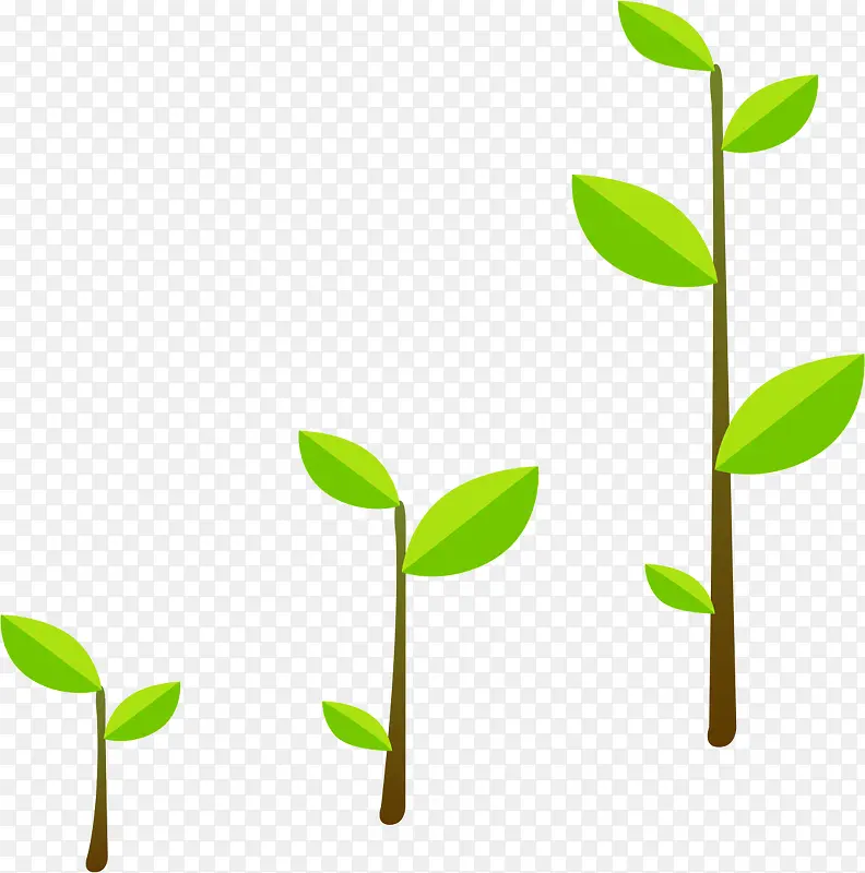 ��ͨ��Ҷ-������