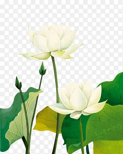 �ֻ�ɻ�-������