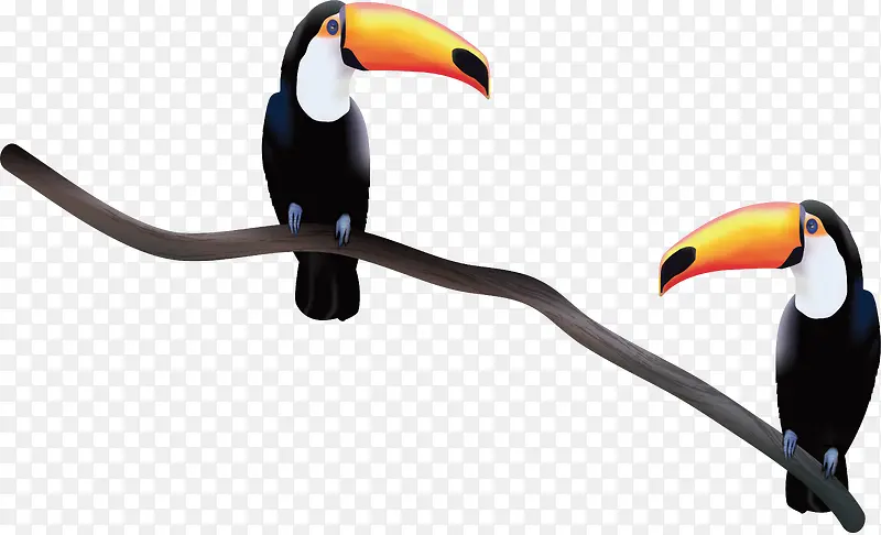 վ����֦�ϵĴ�����-������