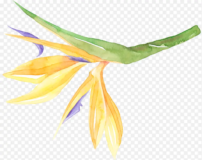 ˮ�ʻ�ɫ�Ļ�-������