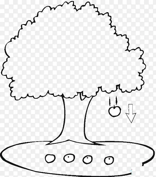 ��ʻ� ��ɫ  ��-������