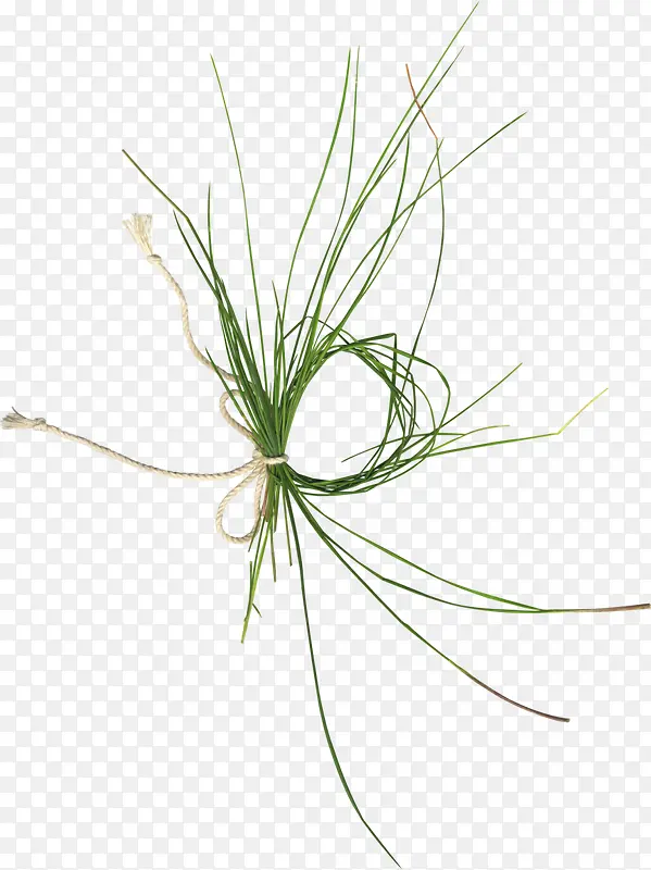 �ݻ�-������