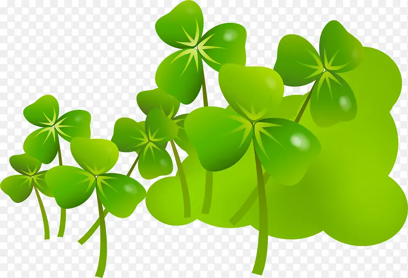 ��Ҷ��-������