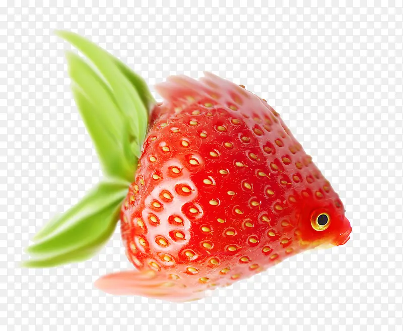 �����ݮ-������