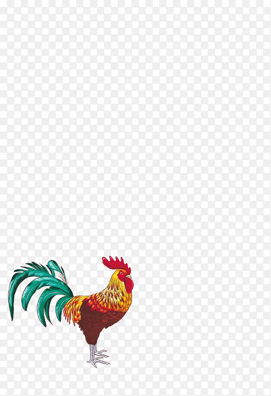 �ֻ湫��-������