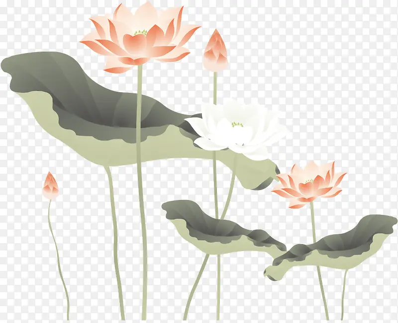 �ֻ�ʢ���ĺɻ���ͼʸ��ͼ-������