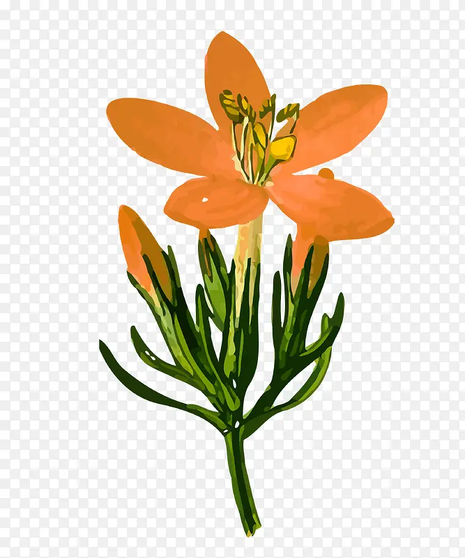 ������ʸ���ز�-������