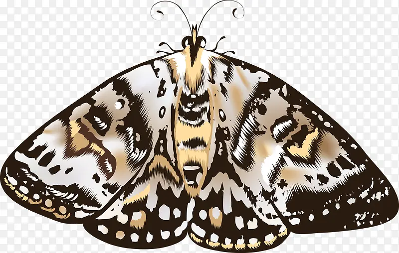 �ֻ����-������